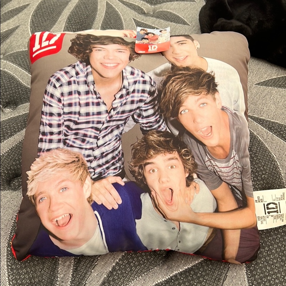 One Direction face pillow!